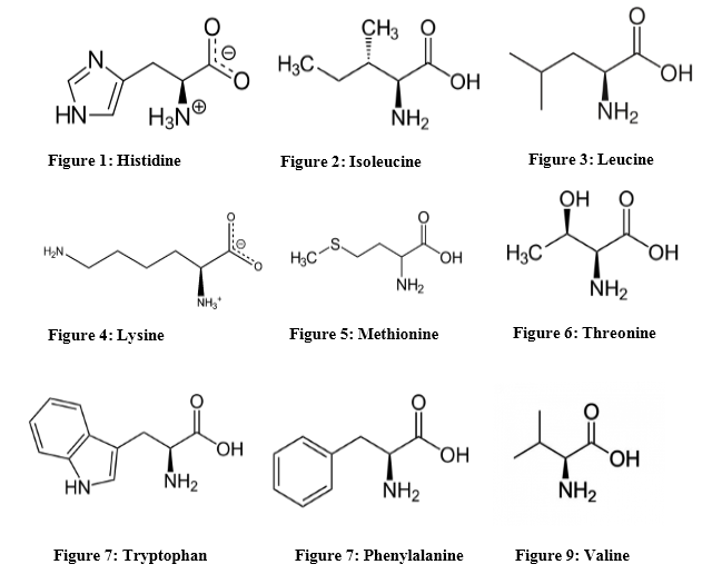 9 essential amino acids